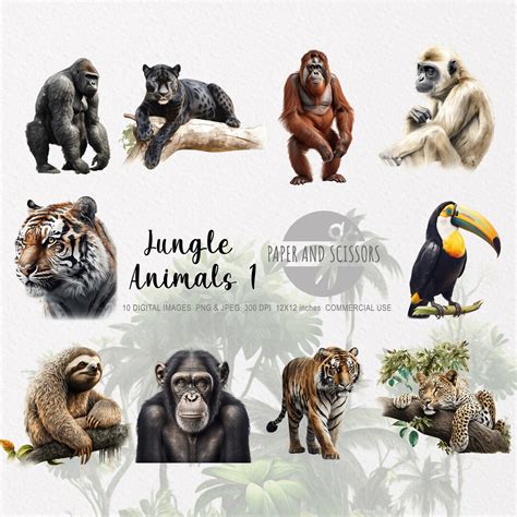 Jungle Animals Clipart, Jungle Animals PNG, Animals Illustration ...