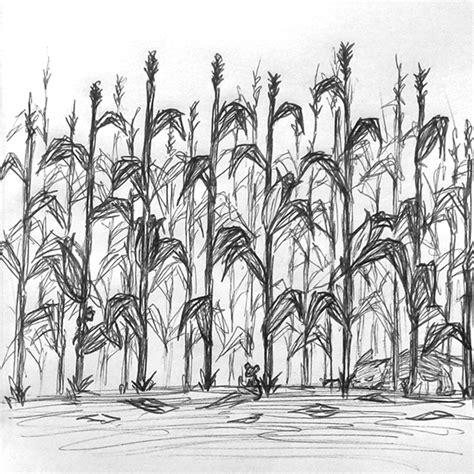 Fabulous Tips About How To Draw A Cornfield Welfareburn20