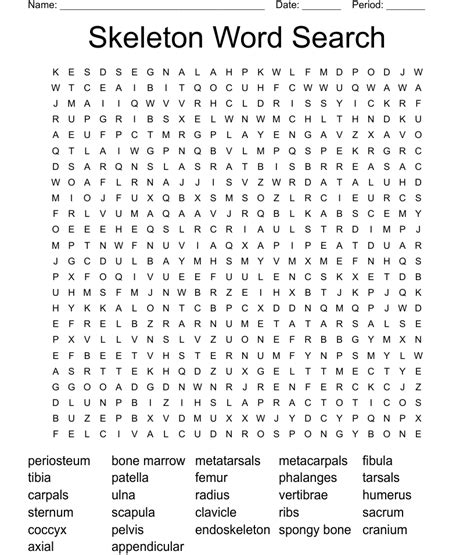 Parts Of The Skeletal System Word Search Wordmint