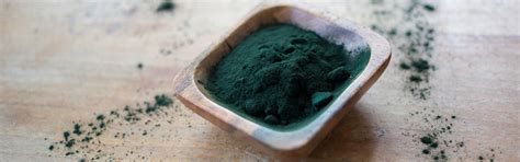What are the health benefits of Spirulina? - TheHealthyTree Company
