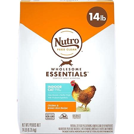 Amazon Nutro Wholesome Essentials Adult Indoor Natural Dry Cat