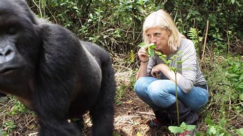 Gorilla trekking in Rwanda - Budget Safaris Tours