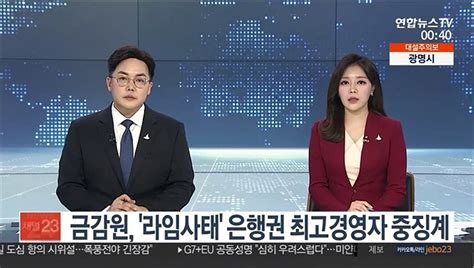 금감원 라임사태 은행권 최고경영자 중징계 동영상 Dailymotion