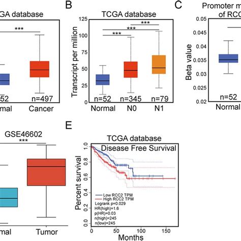 Rcc Is Highly Expressed In Prostate Cancer And Indicates Poor Dfs A