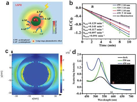 schematic illustration  longrange plasmon field