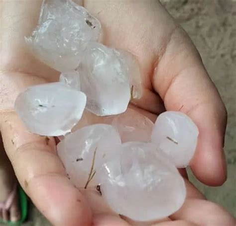 Moradores de municípios do interior de AL relatam chuva de granizo