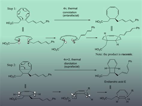 Pericyclic Reaction And Woodward Hoffmann Rules Fmo Theory