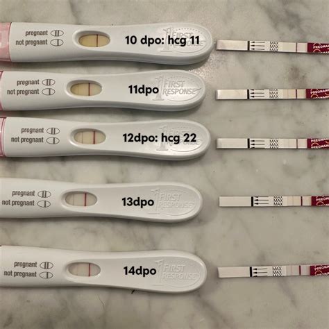 Line progression (or lack of) 10-14 dpo - chemical pregnancy? FRER and