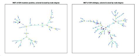 Msts For The Idh Mutation Positive Figure 3a And Idh Mutation