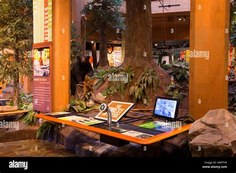 World Forestry Center Hi Res Stock Photography And Images Alamy