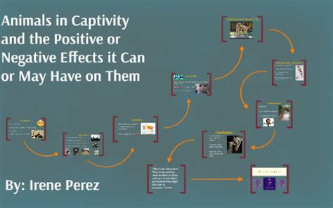 Animals in Captivity and the Positive or Negative Effects it by Irene ...