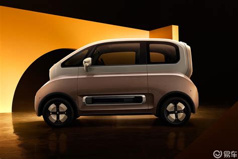 Kiwi Ev