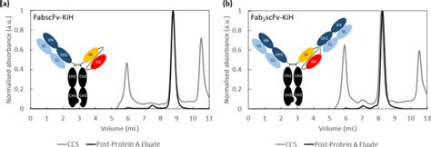 Effective Flow Through Polishing Strategies For Knob Into Hole