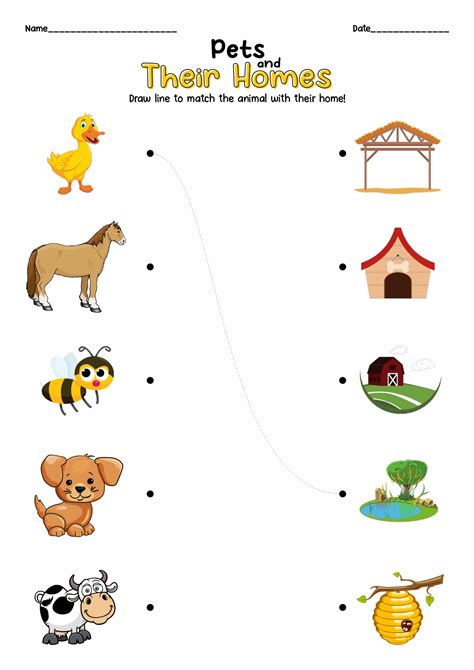 Free Printables Where Do Animals Live