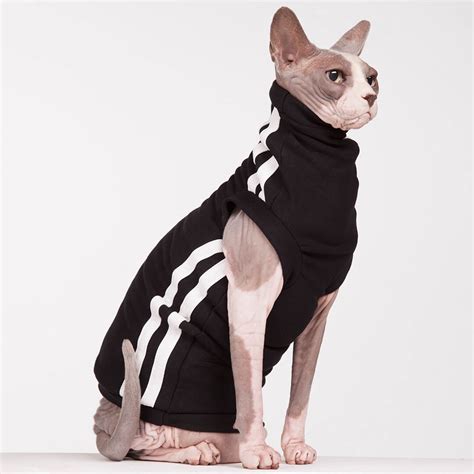 TRACK SUIT – Sphynx Cat Wear