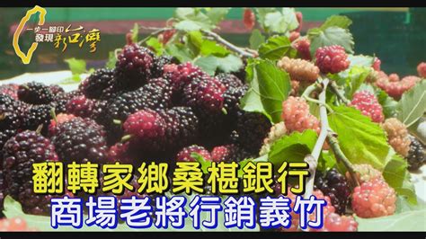 〔嘉義〕商場老將種萬棵桑椹樹 僱千歲團阿嬤採收 賣凍果 榨汁 替義竹家鄉行銷桑椹∣一步一腳印【翻轉家鄉桑椹銀行】20240421 Youtube