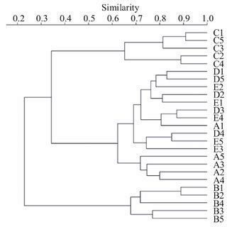 The Dendrogram Of Cluster Analysis On Soil Macrofauna From Different