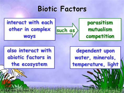 Ecosystems, biotic and abiotic factors