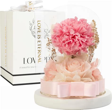 Amazon LOVAPPY Flowers For Delivery Prime Preserved Rose And