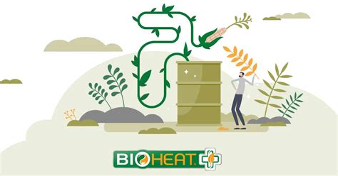 How Is Bioheat Fuel Made MyBioheat