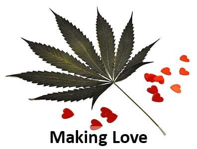 Why Are Stoners More Sexually Active Because Weed Improves Sex