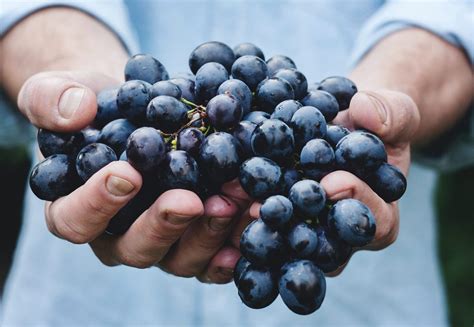 You Have To Try These Candied Frozen Grapes From Tiktok