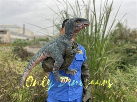 Baby Raptor Realistic Puppet For Sale Only Dinosaurs