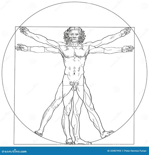 Hombre Leonardo Da Vinci De Vitruvian Imagen De Archivo Editorial