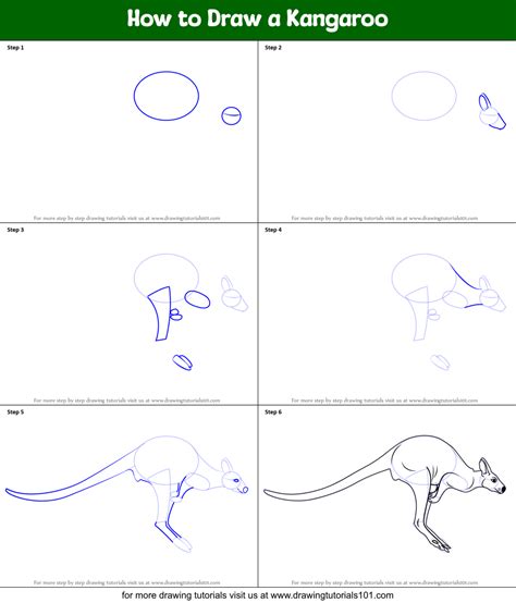 How to Draw a Kangaroo printable step by step drawing sheet ...