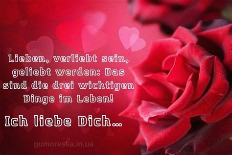 Ich Liebe Dich Bild Rose Und Herzen Kostenlos Herunterladen