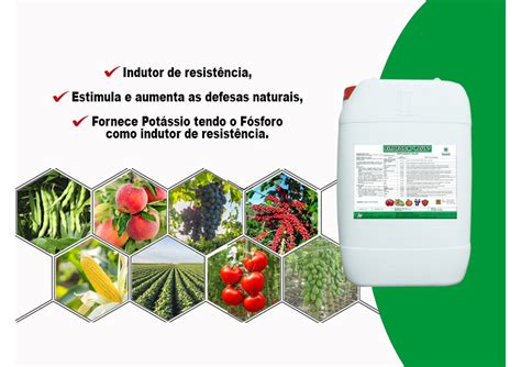 Fertilizante Foliar Fitofos K Plus Wiser Agrofy