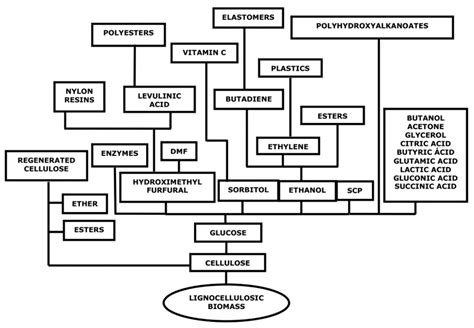 Schematic Concepts Of Biorefinery From Lignocellulosic Biomass