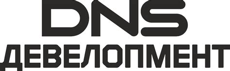 DNS Сити — Новая история большого Владивостока