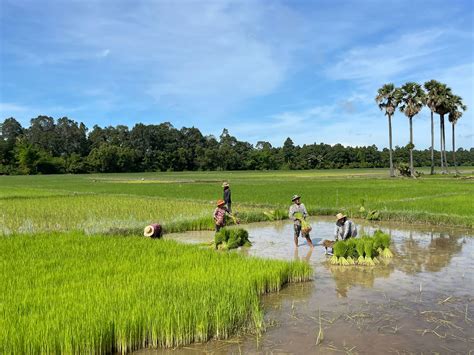 Course Basics In Sustainability In Tourism Hospitality Feeacademy