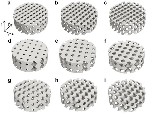 Tpms Structures With Different Levels Of Porosity Obtained By