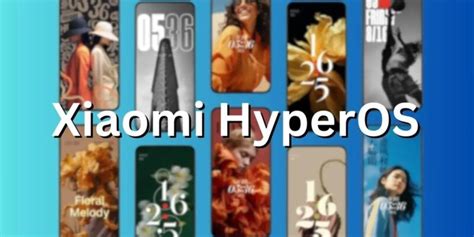 Los Temas De Miui Se Pueden Usar En Hyperos