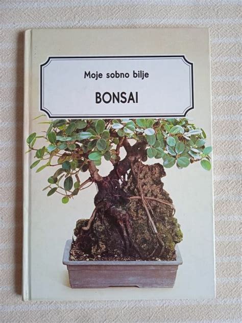 Moje Sobno Bilje Bonsai