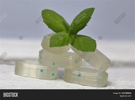 Ментоловая мята20 (Много фото) - treepics.ru