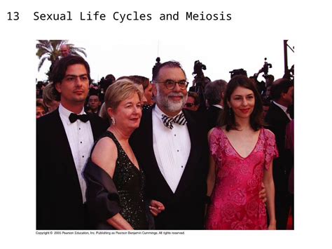 Ppt Ch 13 Sexual Life Cycles And Meiosis Living Organisms Have Ability To Reproduce Heredity