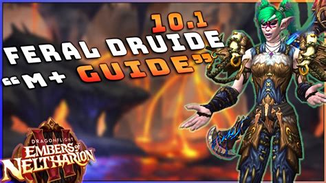 Feral Druide M Guide Youtube