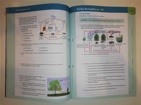 Manual Terra Cn Ci Ncias Naturais Ano Caderno Novo P Voa