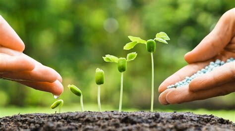 Nonprofits Continue to Grow Despite Unprecedented Times - The Tower ... 