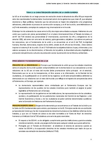 Derecho E Instituciones De La Union Europea Tema 2 Pdf