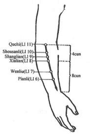 Acupuncture Acupuncture Points Large Intestine LI 10