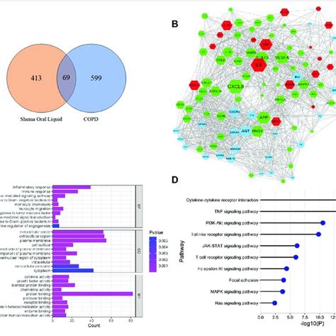 Network Pharmacology Analysis Of Shema In Treatment Of Copd A Venn Download Scientific