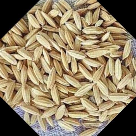 Brown Hybrid Paddy Seeds For Agriculture Packaging Type Loose At