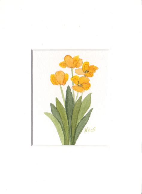 Yellow Parrot Tulips 5 By 7 Matted From By Wandazuchowskischick Tulip