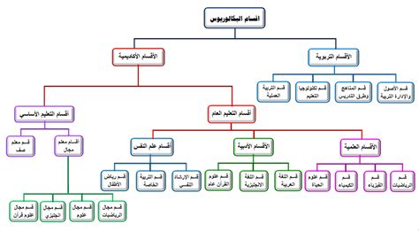 الهيكل التنظيمي لأقسام كلية التربية جامعة تعز كلية الآداب والعلوم