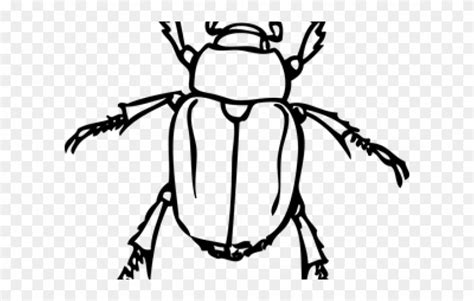 Insect Clipart Black And White Clip Art Library