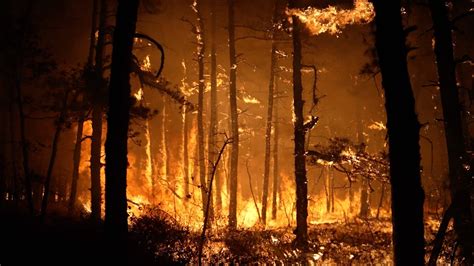 Wildfires Erupt In New Jersey Fueled By Dry Windy Conditions Abc News